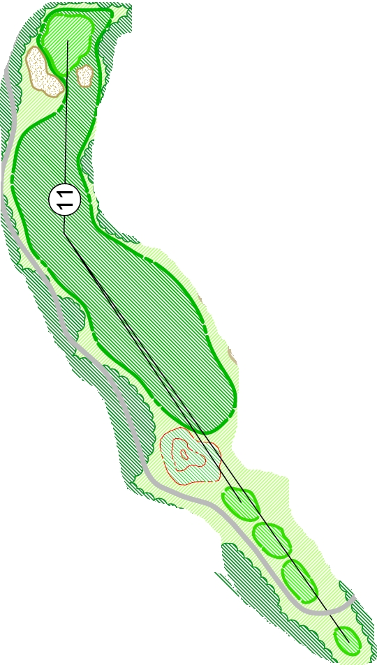 Hole #11