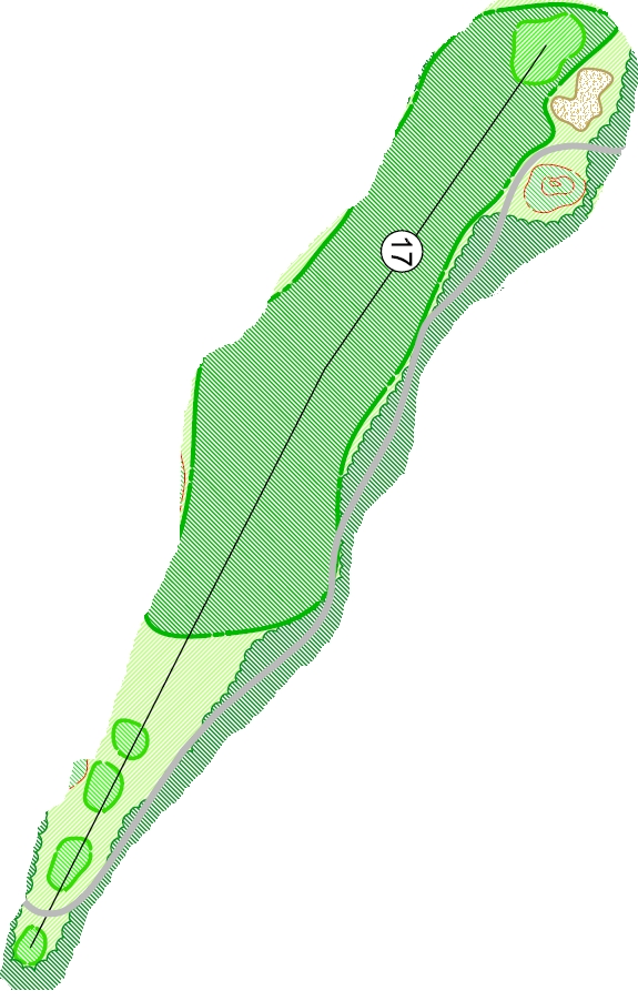 Hole #17